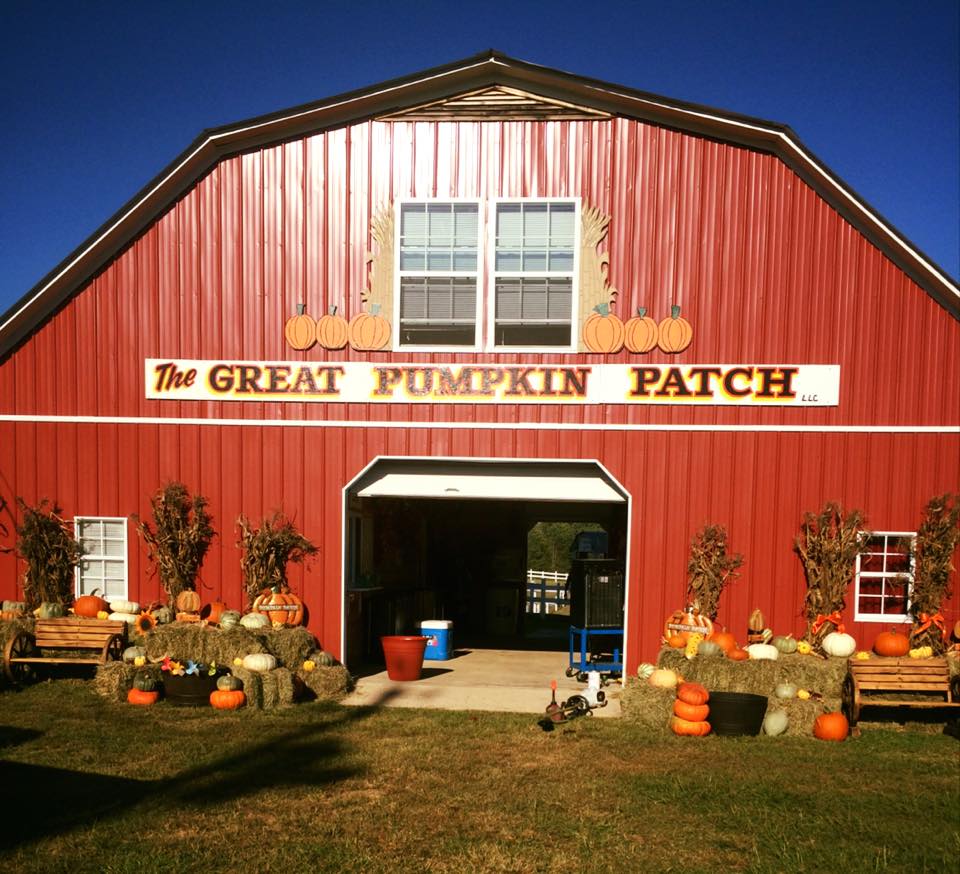 The 10 Best Pumpkin Patches In Texas In 2016