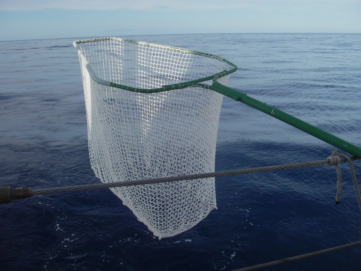 Throw Net Fisherman  Photo Resource Hawaii