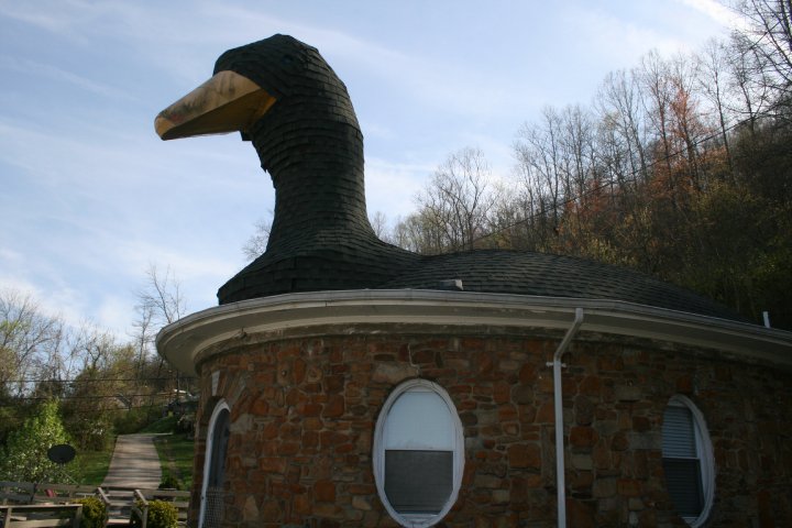 Goose House 