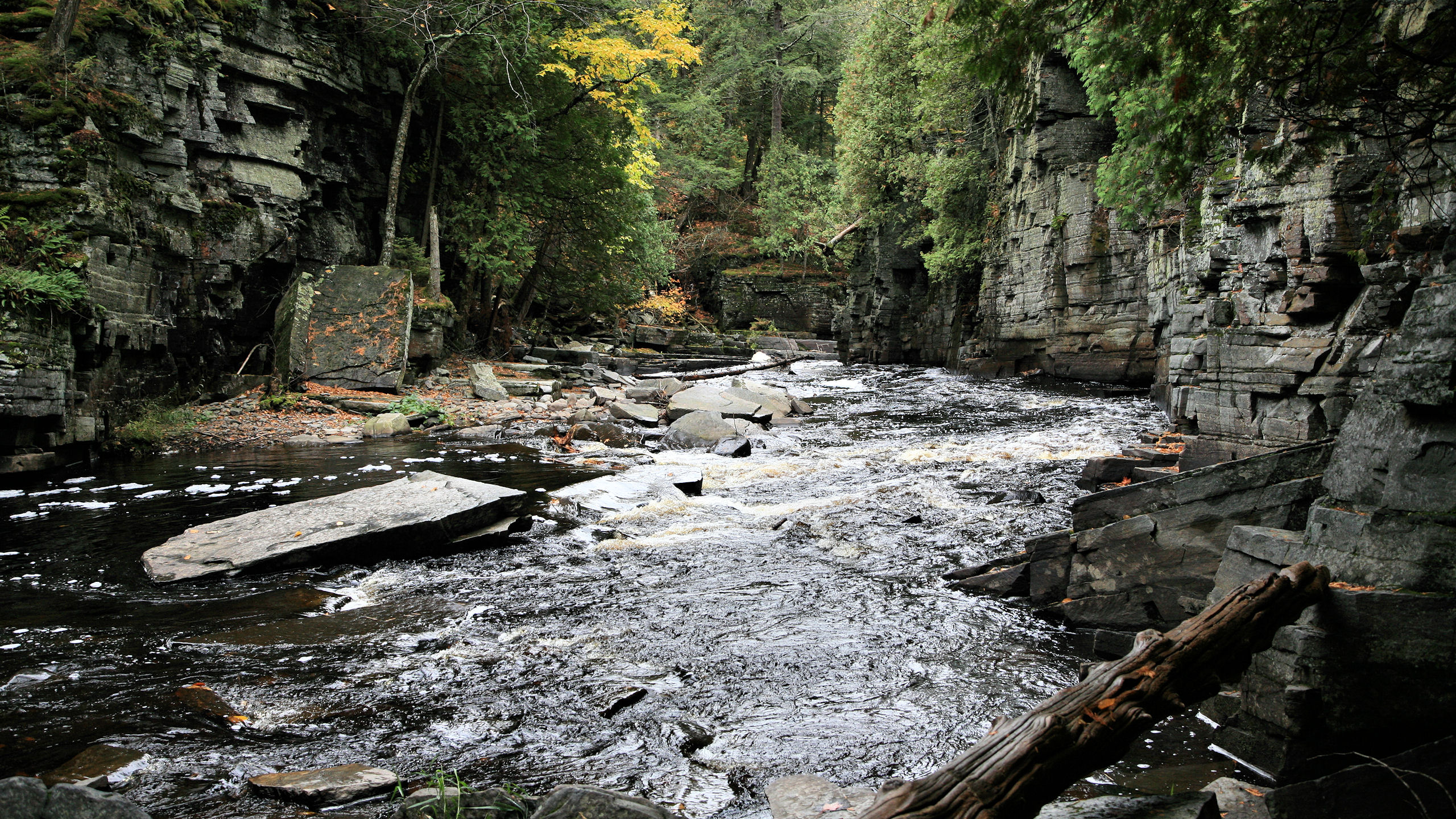 The Most Scenic Hiking Trails in Michigan