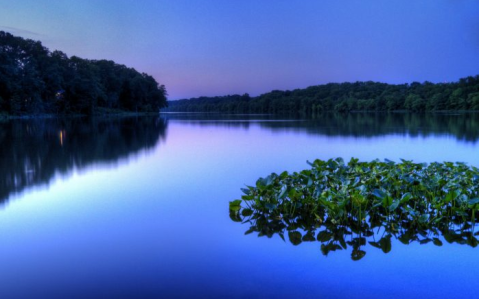 This Little Known Lake In New Jersey Will Be Your New Favorite Summer Destination