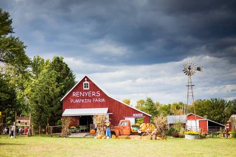 You'll Love These 11 Charming Farms Nestled In The Middle Of Nowhere In Kansas