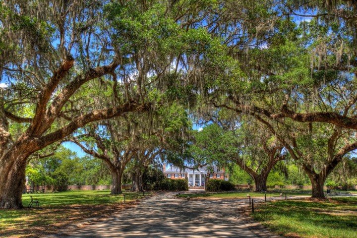 plantation tours in the south