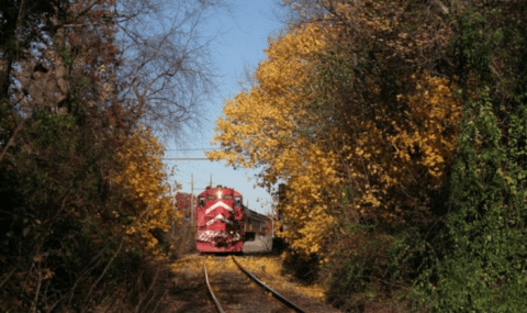 Take This Fall Foliage Train Ride Through New Jersey For A One-Of-A-Kind Experience