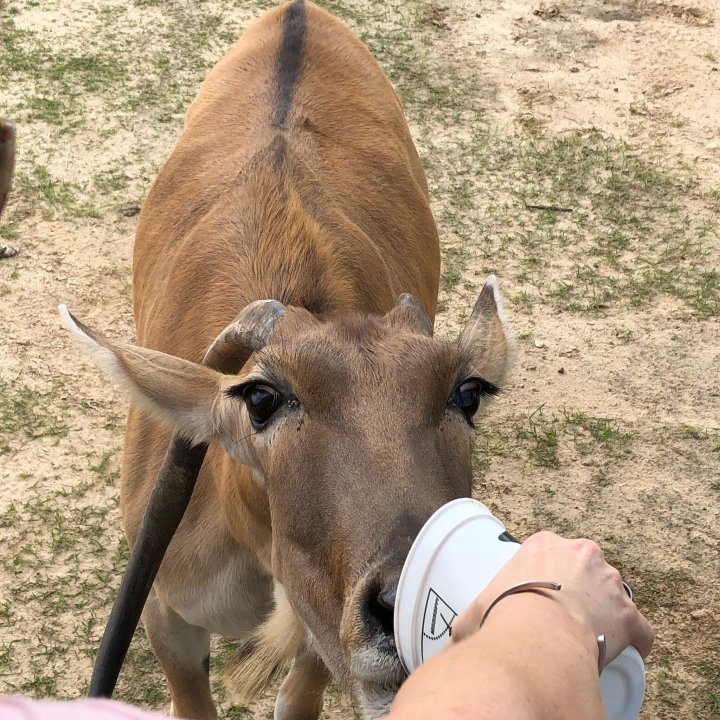 most unique park in louisiana