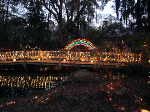 If You Live In Florida, You’ll Want To Visit This Amazing Park At Least Once