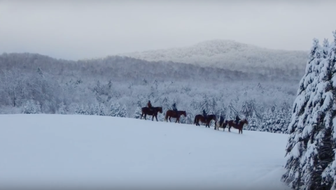 The Winter Horseback Riding Trail In Vermont That's Pure Magic