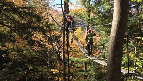 There’s An Adventure Park Hiding In The Middle Of A New Hampshire Forest And You Need To Visit