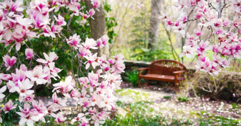 The Secret Garden In Delaware You’re Guaranteed To Love