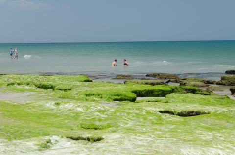 There's No Better Place Than This Underrated Beach In North Carolina