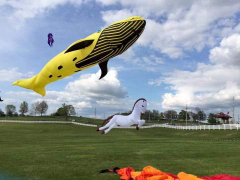 This Incredible Kite Festival In Kansas Is A Must-See
