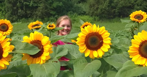 Most People Don't Know About This Magical Sunflower Field Hiding In Rhode Island