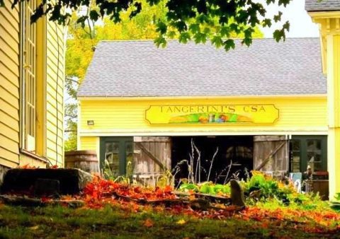 There’s A Bakery On This Beautiful Farm In Massachusetts And You Have To Visit