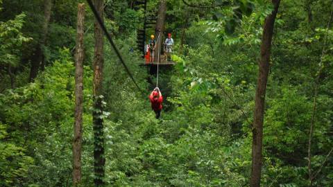 This Canopy Tour In Wisconsin Will Thrill Adventurers Of All Ages