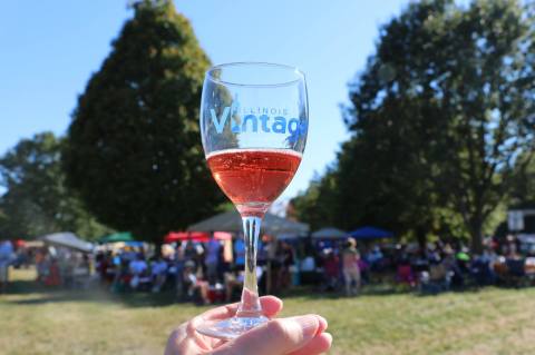 The Epic Wine Festival In Illinois You Don't Want To Miss This Year