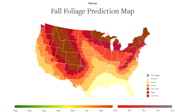 Searching For Fall Foliage Prediction Map Nevada? Head here!