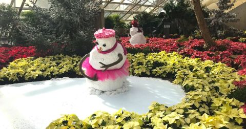 Every Day Is A Snow Day At This Epic Indiana Indoor Winter Wonderland