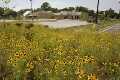 The Outdoor Discovery Park In Missouri That’s Perfect For A Family Day Trip