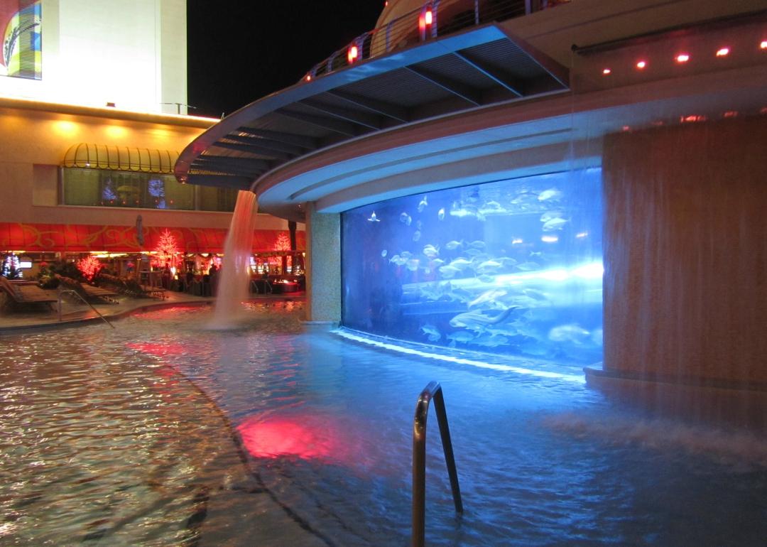 Shark Tank Water Slide In Vegas Is Nevada's Best Kept Secret - Narcity