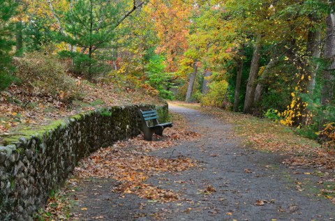 This Picturesque Rhode Island Park And Zoo Used To Be A Swamp But Now It's Amazing