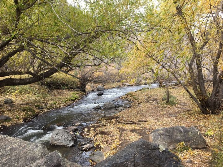 Kid-Friendly Hikes Near Denver and Colorado Springs