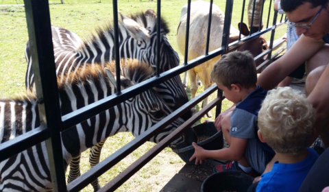 There’s A Wildlife Park In Indiana That’s Perfect For A Family Day Trip