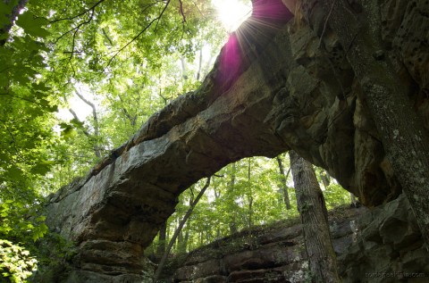 The Beautiful Bridge Hike In Tennessee That Will Completely Mesmerize You