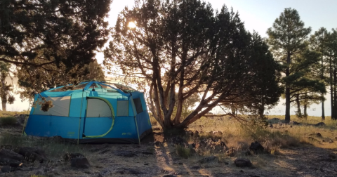 You’ll Love Waking Up To The Views At These 6 Lakeside Camping Spots In Arizona