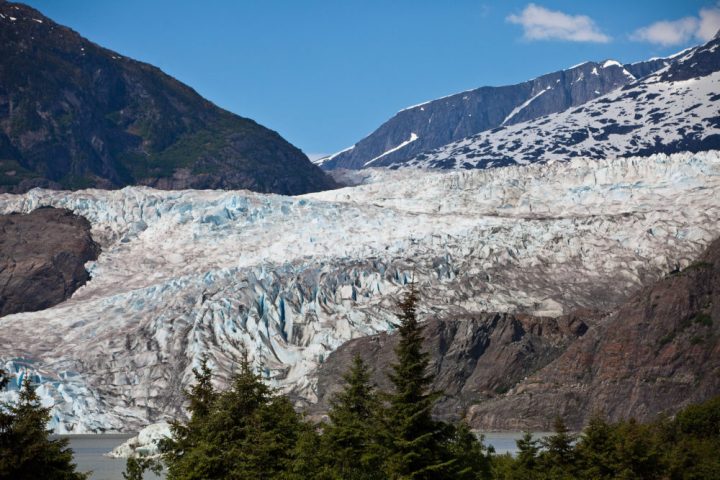 This Ancient Forest In Alaska Is Melting Out Of The Ice