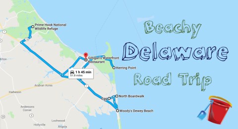 This Road Trip Will Give You The Best Delaware Beach Day You've Ever Had