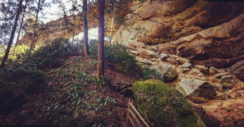 This Enchanting Hike Takes You Straight Through Kentucky's Very Own Grand Canyon