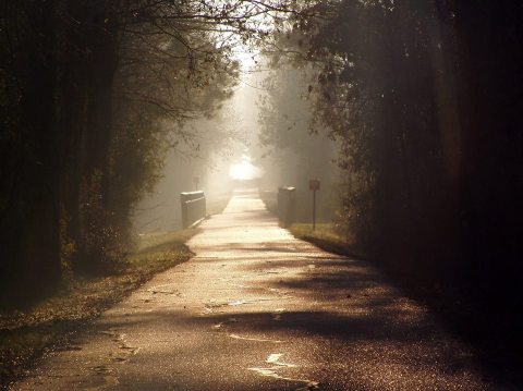 Follow This Abandoned Railroad Trail For One Of The Most Unique Hikes In Louisiana