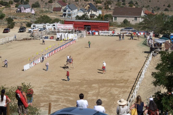 Annual Camel and Ostrich Races in Virginia City