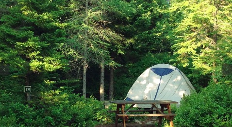 You'll Love These 8 Perfect Camping Spots At Maine's Only National Park