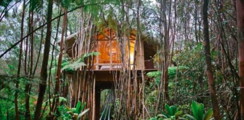 This Hawaiian Treehouse Is One Of The Most Wished For Airbnbs In The Whole Wide World
