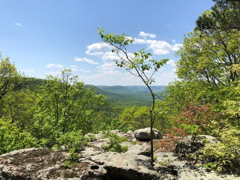 Just About Everyone Can Hike To The Top Of This Gorgeous Arkansas Mountain