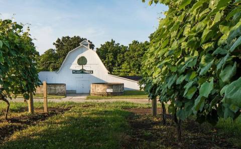 Nothing Says Fall Is Here More Than A Visit To Nebraska's Charming Apple Farm