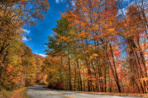 You'll Be Happy To Hear That Georgia's Fall Foliage Is Expected To Be Bright And Bold This Year