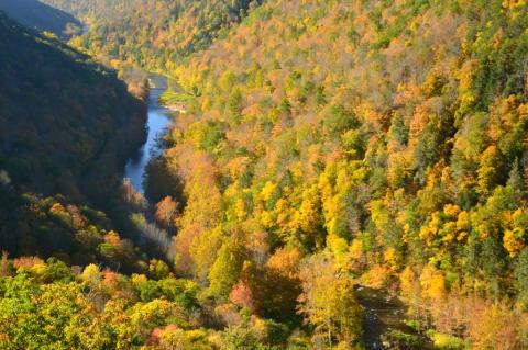 The Awesome Hike That Will Take You To The Most Spectacular Fall Foliage In Pennsylvania