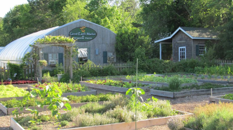 The Old Farm In Delaware That's An Inn, Cafe, and Farm Market All In One