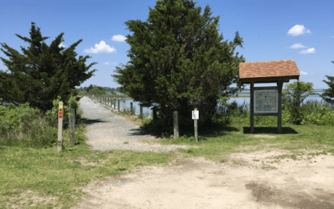 Few People Know There’s A Delaware Island You Can Walk To