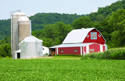 Take Minnesota's Quilt Barn Trail For An Unexpectedly Awesome Day Trip