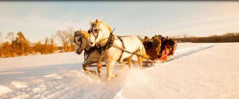 Take An Entrancing Horse-Drawn Sleigh Ride Through The Connecticut Countryside This Winter