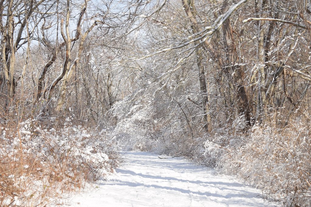 Winter Hiking In Rhode Island: 9 Amazing Trails To Do ASAP