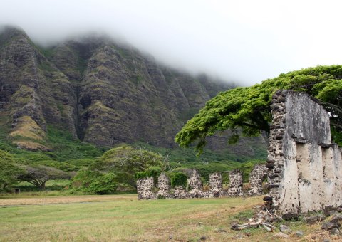 The Abandoned Sugar Mill In Hawaii That's Hiding Where You'd Least Expect It