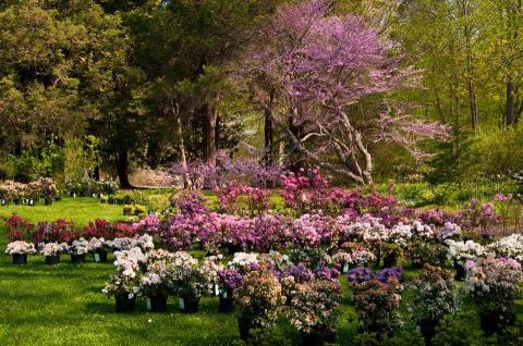 This Beautiful 91-Acre Botanical Garden In Connecticut Is A Sight To Be Seen