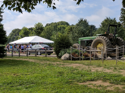 Take The Whole Family On A Day Trip To This Pick-Your-Own Strawberry Farm In Massachusetts