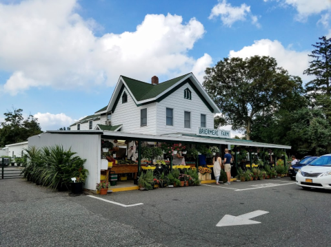 This One-Of-A-Kind Fruit Farm In New York Serves Up Fresh Homemade Pie To Die For