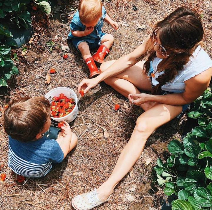 pick your own strawberries