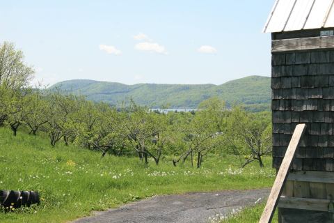 This 220-Acre U-Pick Cherry Farm In Vermont Is The Perfect Way To Spend An Afternoon